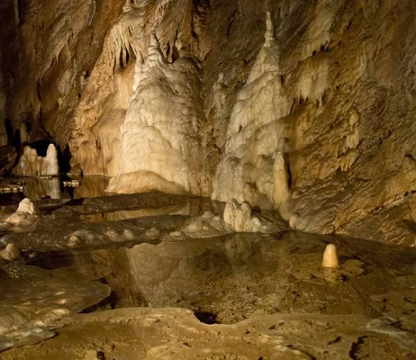 Jaskinia Niedźwiedzia w Kletnie