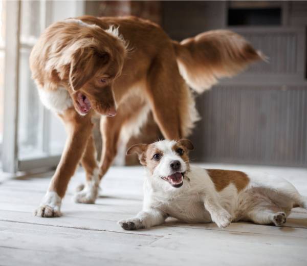 U nas waga nie ma znaczenia!
